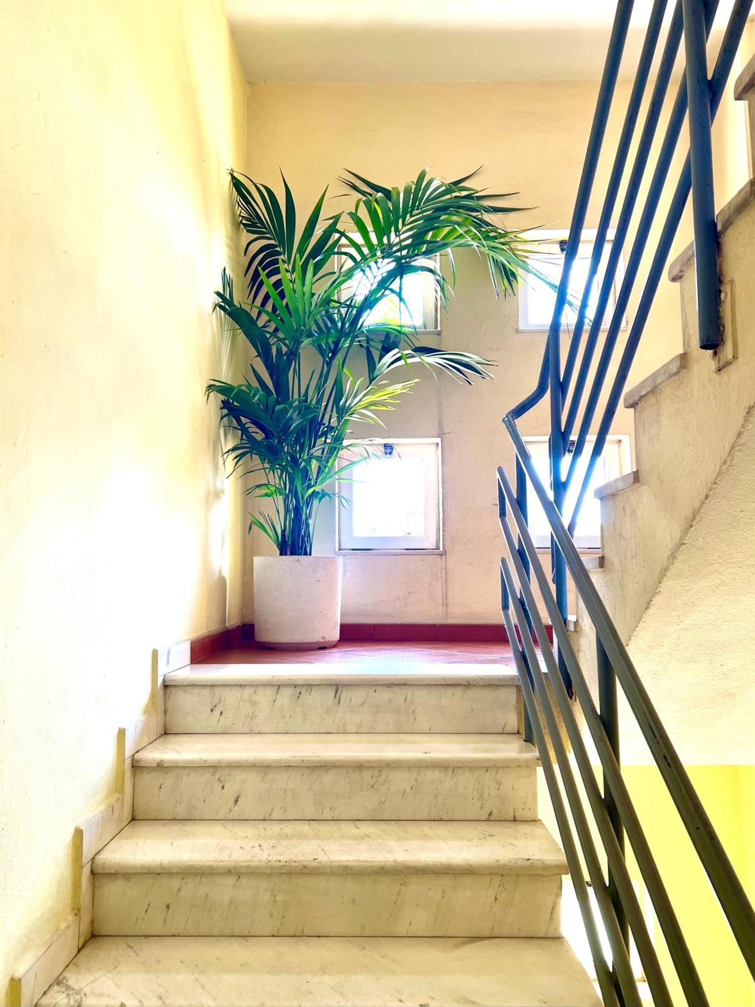 Elda Yellow Palace, Pazari I Ri Apartment *
